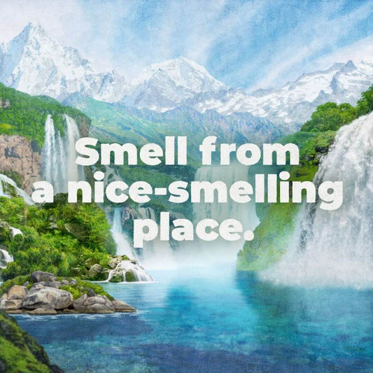 Irish Spring 5-in-1 Body Wash + Shampoo & Conditioner (591ml)