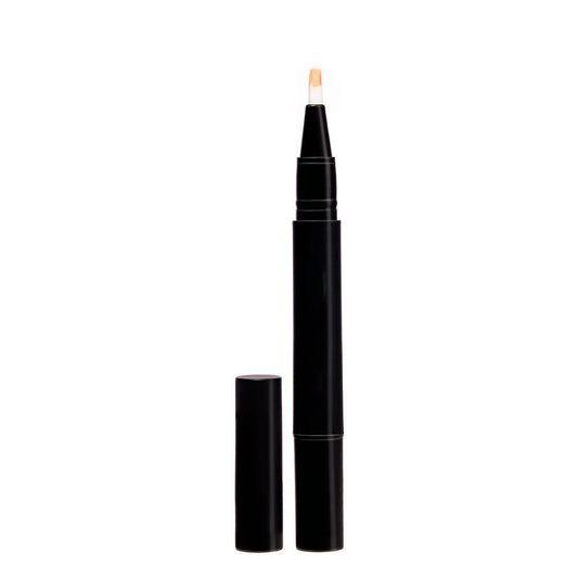 Lakme Absolute Instant Airbrush Concealer Pen - Cinmon (1.8 g)