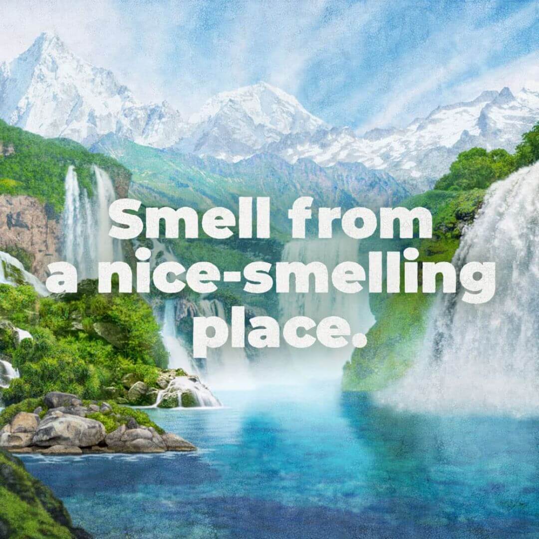 Irish Spring 5-in-1 Body Wash + Shampoo & Conditioner (591ml)