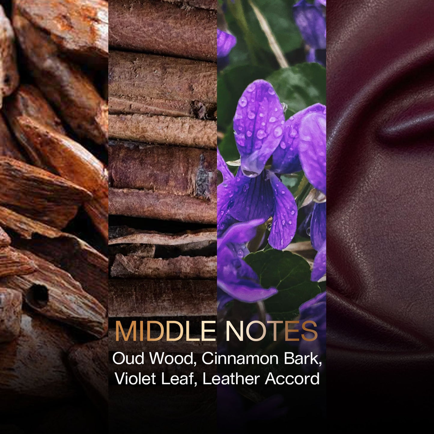 Skinn By Titan Nox Oud Homme Eau De Parfum (100ml)