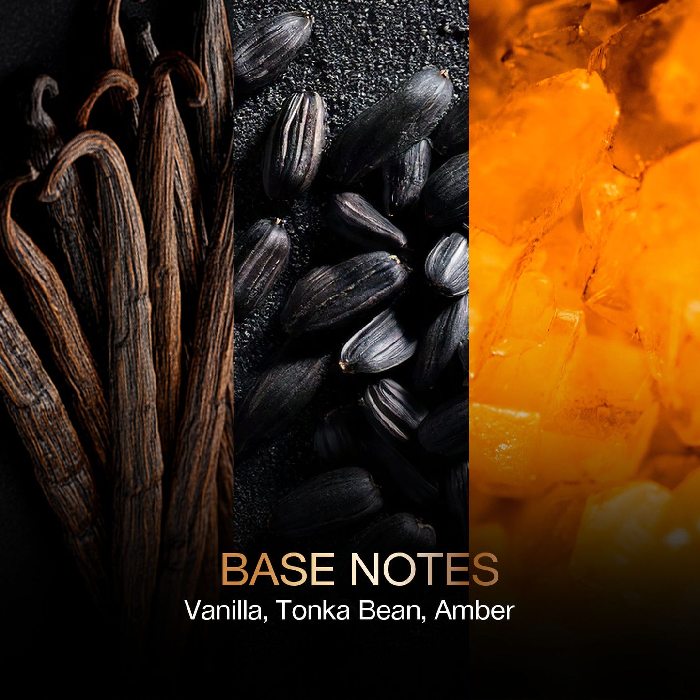 Skinn By Titan Nox Oud Homme Eau De Parfum (100ml)