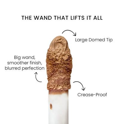 Shopaarel True Color Concealer 9g