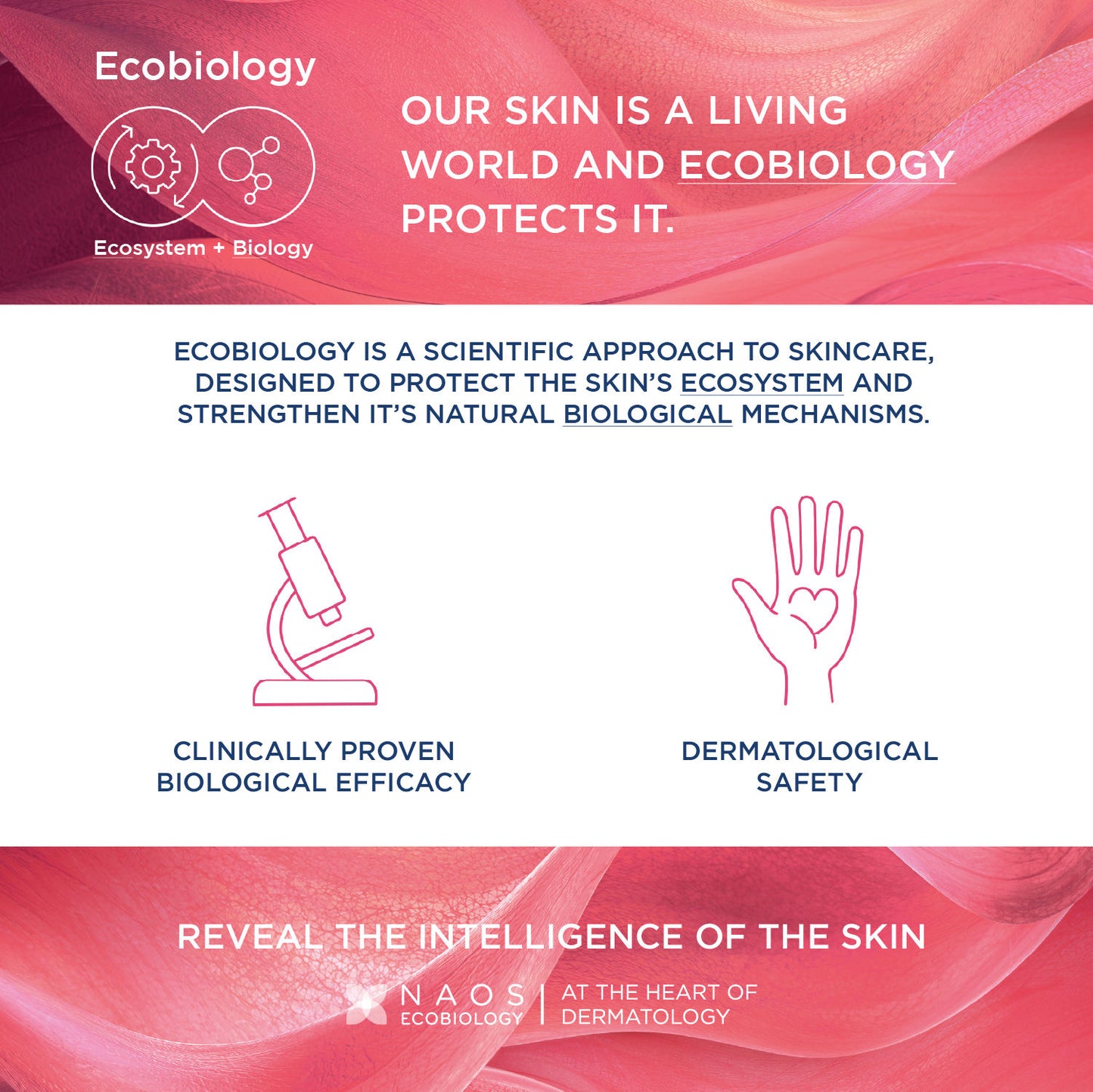 Bioderma Dermatological Micellar Water Sensibio H2O - Gently Removes Makeup Prevents Clogged Pores (250ml)